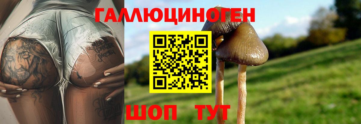 Галлюциногенные грибы мицелий  Псилоцибиновые грибы Psilocybe  Вход с VPN  Майский 